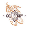 goji berry isolated icon organic exotic food vector image