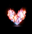 human heart in flames vector image