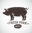 artistic pig sketch vector image vector image
