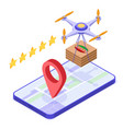 drone delivery pizza online order vector image