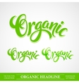 title organic handmade lettering vector image vector image