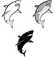 shark vector image