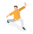 3d isometric flat set of tai chi item 2 vector image