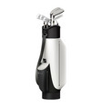 golf brassie case composition vector image vector image