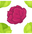 green and purple cabbage seamless pattern vector image