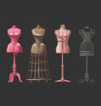 set dress form vector image