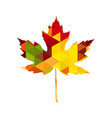 autumnal maple leaf triangle vector image vector image