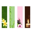 vertical spa banners vector image