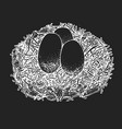 hand drawn eggs in nest farm sketch on chalk vector image vector image