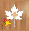 big autumn sale autumnal maple leaf triangle vector image vector image