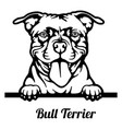 bull terrier peeking dog - head isolated on white vector image