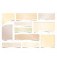 colorful ripped paper strips isolated on white vector image