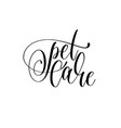 pet care - hand lettering text positive quote vector image