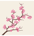 card with stylized cherry blossom flowers vector image