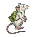 cartoon mouse and backpack color sketch vector image vector image
