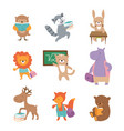 cute school animals bear raccoon lion hare hippo vector image