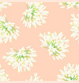 snow white agapanthus on light orange background vector image