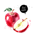 watercolor hand drawn red apple isolated eco vector image vector image