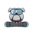 snowboarding logo bulldog in the mask vector image vector image
