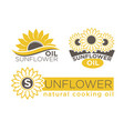 sunflower natural cooking oil product vector image