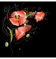 black background with red poppy flowers vector image vector image