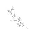 hand drawn orchid flower arrangement floral vector image vector image