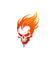 skull head bone abstract fire vector image