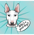 bull terrier dog who s a good boy vector image vector image