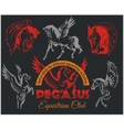pegasus and horses vintage labels badges vector image
