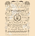 big set of vintage elements decoration vector image