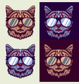 cats wear glasses vector image vector image