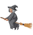 old witch riding broomstick vector image
