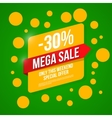 sale special offer vector image vector image