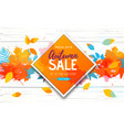 autumn big sale watercolor poster vector image