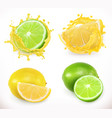 lemon and lime juice fresh fruit 3d icon vector image vector image