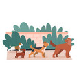 dogs run outdoor vector image