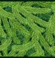 seamless pattern with green fir tree branch vector image