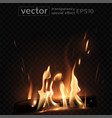 burning fire in the fireplace firewood coals vector image vector image
