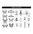 insect collection butterfly beetle dragonfly vector image