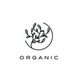 creative plants logo design templatesymbol vector image