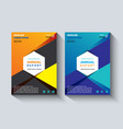 annual report design layout flyer template vector image