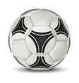 realistic soccer ball isolated on white background vector image