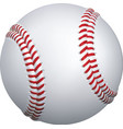 baseball ball vector image
