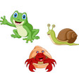 cute three animal cartoon collection vector image