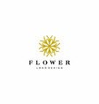 flower logo vector image vector image