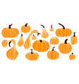 orange pumpkins different sizes isolated vector image