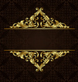 ornate gold border vector image vector image