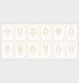 zodiac astrology horoscope cards linear design vector image