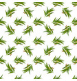 elegant seamless pattern with eucalyptus leaves vector image vector image
