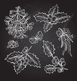 hand drawn holly berries set vector image